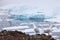 Seagulls with iceberg background