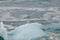 seagulls on iceberg in cold water, Iceland,