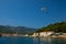 Seagulls on Island Hvar Konzum town, Adriatic sea, Croatia