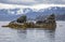 Seagulls and Kittiwake\'s sitting on a rocky island