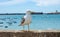 Seagulls on La Caleta beach in city center in Cadiz, Spain