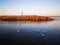 Seagulls in the lake