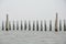 Seagulls lined up on the pole posts Located at the mouth of the Gulf