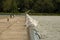 Seagulls lined up on steel railing