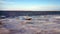 Seagulls and Lobster trap in frozen Cape Cod bay