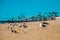 Seagulls looking at the ocean around Long Beach, California. California is known with a good wether.