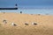 Seagulls on the morning beach. Silhouette of the fisherman on the beach with a seagulls