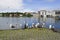 Seagulls near a pond in the center of Reykjavik