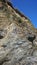 Seagulls nesting in the cliff