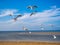 Seagulls on the North Sea