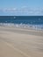 Seagulls ocean water beach sand outerbanks North Carolina