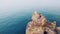 Seagulls over rocks in the ocean aerial view