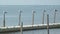 Seagulls pearched on a dock at Ho Hum beach on Fire Island