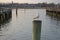 Seagulls Perched on Pilings -04