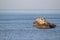 Seagulls perched on stones in the middle of the Mediterranean Sea