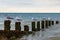 Seagulls perched on a weathered groyne, at Jury`s Gap near Camber in East Sussex