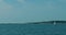 Seagulls playing over the sea in the Swedish archipelago