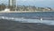 Seagulls on a polluted beach near offshore drilling operations