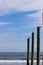 Seagulls on posts at the beach