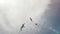 Seagulls proudly soar above the ground. Flying white sea birds against the background of a prolonged cloudy sky and sun