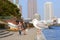 Seagulls relax at Sumida river in Tokyo bay