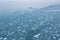 seagulls relaxing on frozen lake