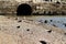 Seagulls resting on the Banks of the Tagus river in Lisbon