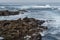 Seagulls Resting on Rock Formations in La Jolla