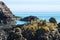 Seagulls resting on rocks at St. Abbs