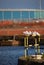 Seagulls Resting on Steel Barrier