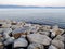 Seagulls resting on top of some boulders near the sea at Sanxenxo in Galicia Spain