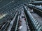 Seagulls roam the upper deck for food after the ending of game