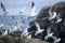 Seagulls on the rock in the sea. Generative AI