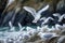 Seagulls on the rock in the sea. Generative AI