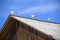 Seagulls on the roof of a house in a siberian village on Olkhon Island, Baikal Lake, Russia.