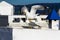 Seagulls on the rooftops of buildings in the Moroccan city of Tangier