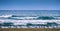 Seagulls in a row on the beach in Larnaca