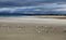 Seagulls on Ruakaka Beach