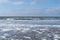 Seagulls and sandpipers walking along the waterline at the beach with sea and seafoam od spume