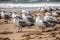 Seagulls Scavenging For Food On The Beach. Generative AI