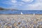 Seagulls at seashells shore on blue cloudy sky background