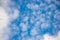 Seagulls silhouetted against a clear sky, with white clouds in the background