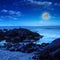 Seagulls sit on big boulders near the sea watching moon