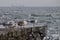 Seagulls sitting on the edge of a stone pier on a stormy day