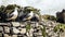 Seagulls sitting on a fortification wall of the Portovenere Castle Castello Doria in Italy