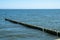 Seagulls are sitting on a groyne.