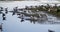 Seagulls are sitting in shallow water of Maliy Sasik Lake. Tuzlovski Lagoons National Park