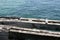 Seagulls on the skeleton jetty, Busselton, WA, Australia