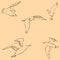 Seagulls sketch. Pencil drawing by hand. Figure in vintage style. Vector
