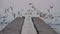 Seagulls Soar off the Concrete Pier